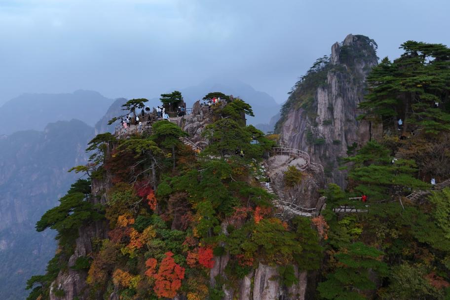 现场播报！【秋色浓度90%+】黄山漫山遍野，已然醉透，错过等明年

黄山之秋，从