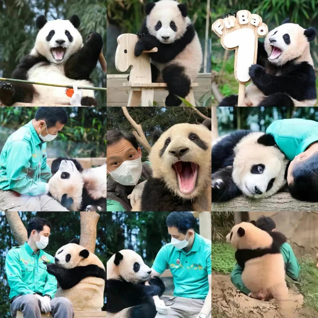 深爱福宝的ee做的合集
每一张照片都存在我的手机里
我相信很多ee都和我一样
这