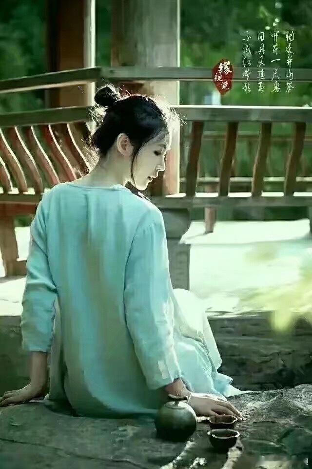 有诗无酒，不任尘埃沾袖。岂怕天长，但守心幽。 