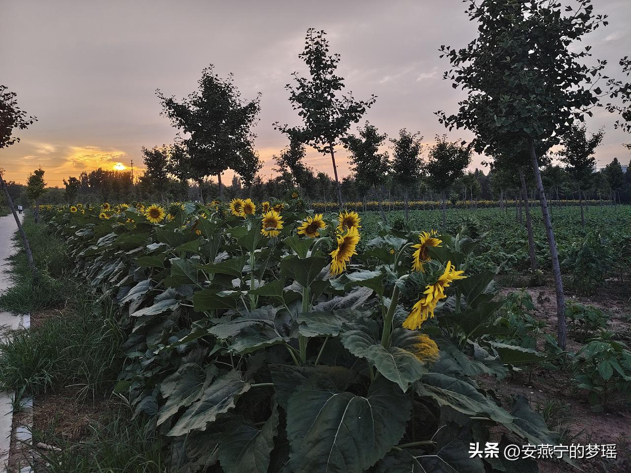 一个月电话响不了几次，没人找，基本也不联系其他人，这就是当下的生活状态！

前些