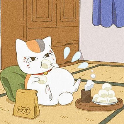 属于猫咪老师的时间！猫咪老师猫咪老师