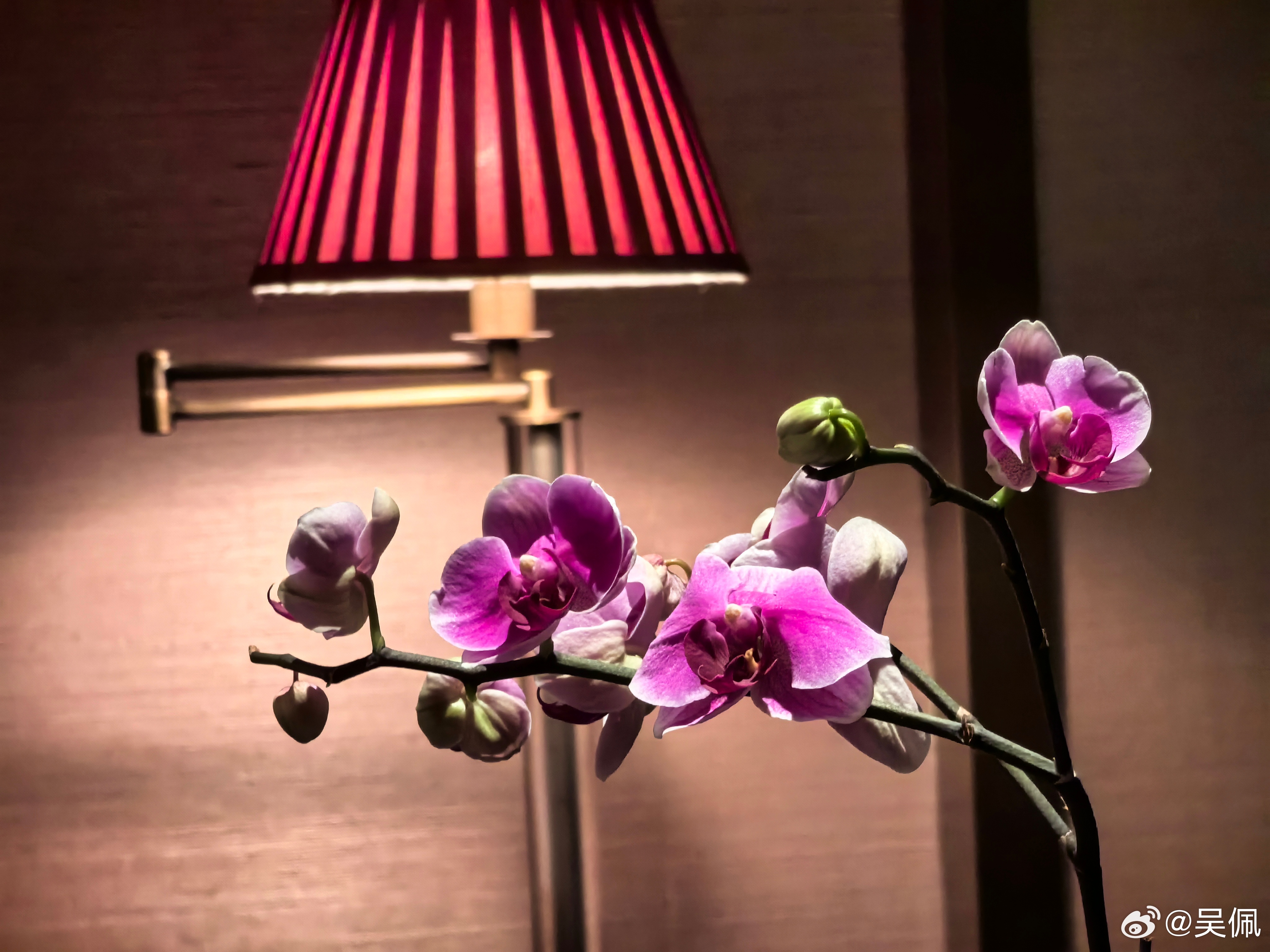 昨晚在酒店吹了吹风。 