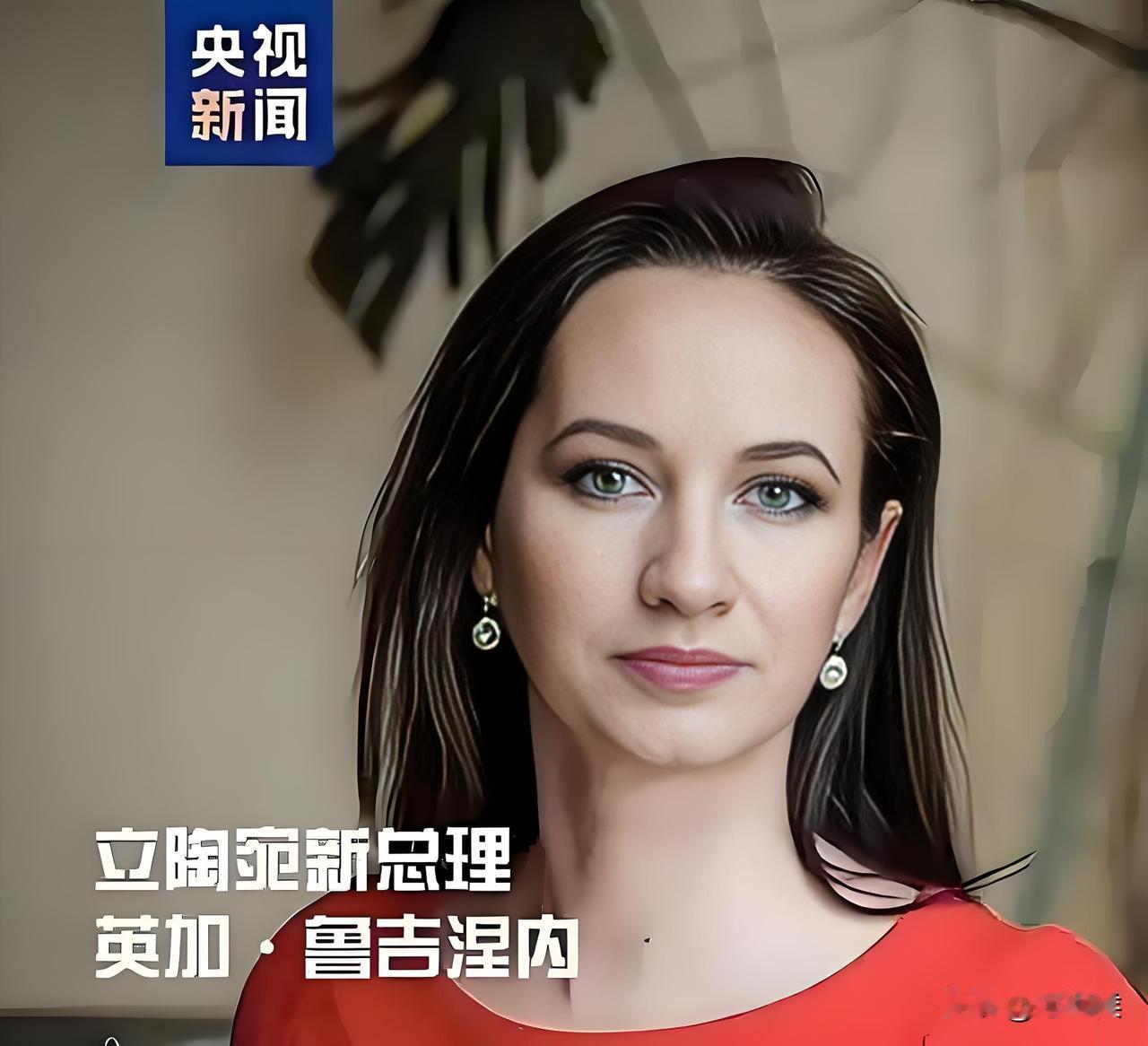 波罗的海三傻之一，立陶宛新任总理鲁吉涅内自上任后，延续总统瑙塞达的麻雀虽小五脏俱
