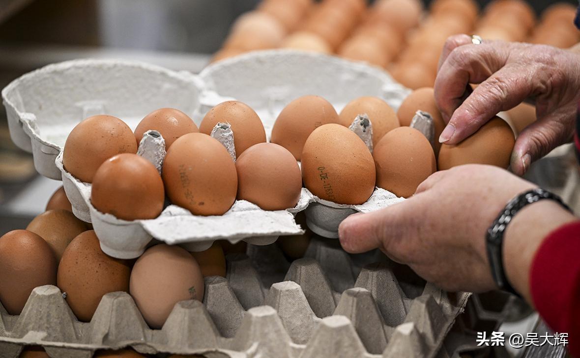 俄罗斯当局警告：复活节前鸡蛋或将涨价
 
3月25日，《消息报》援引俄联邦反垄断
