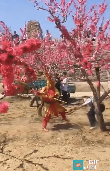 紧急播报！花果山大圣居然在景区和凡人打起来了？！
 
家人们谁懂啊！！当年大闹天