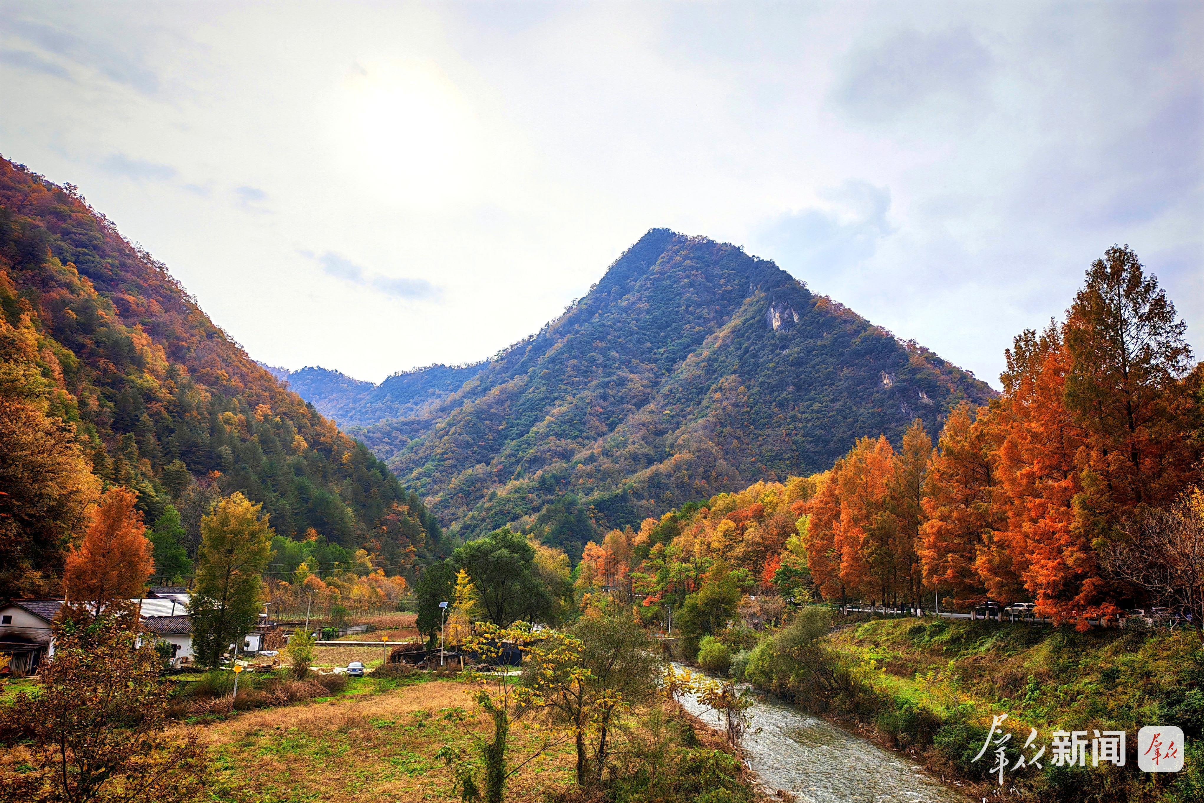 “一处美”→“全域美” 感受留坝和美乡村新图景