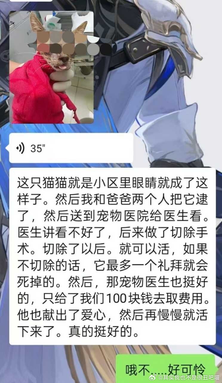 49244【安徽领养 】猫咪领养 想给一只被救助猫咪找领养，是妈妈在小区里捡到的