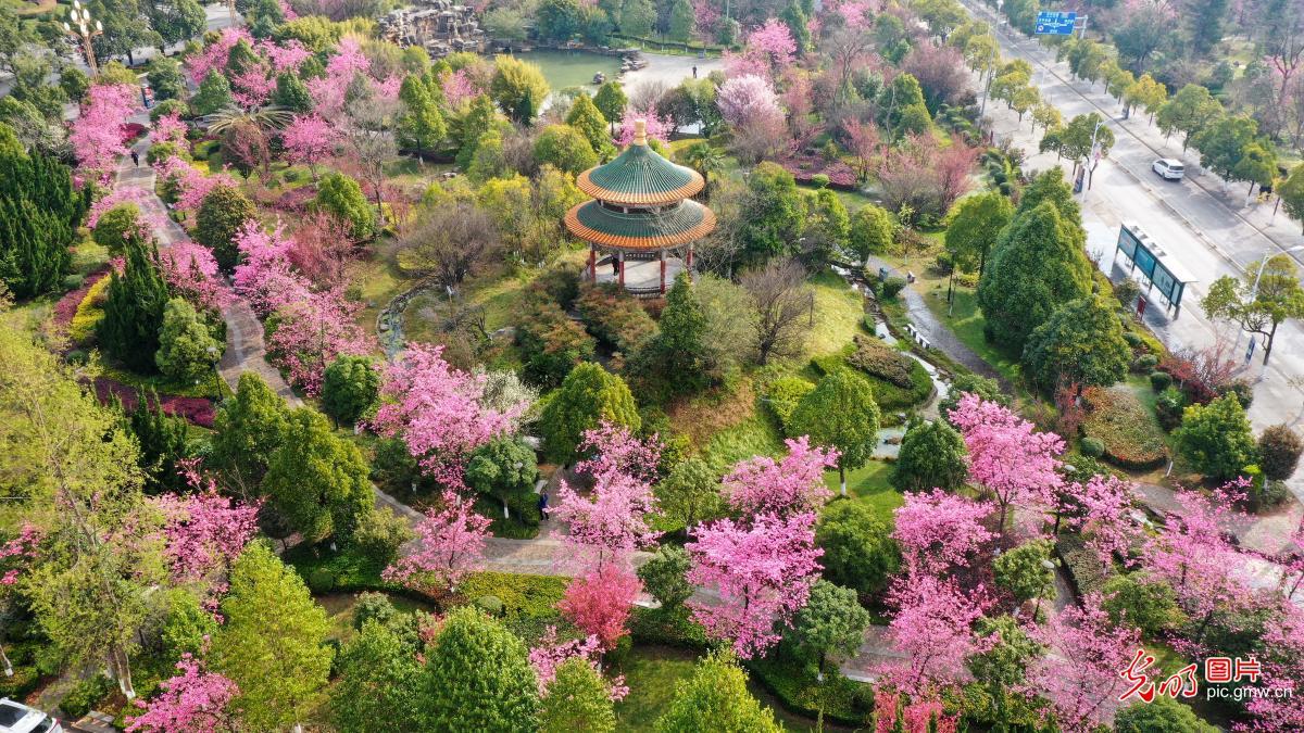 下联：春满人间万象新

赏析：此联以“春”应“龙”，借自然更迭喻时代气象。“满”