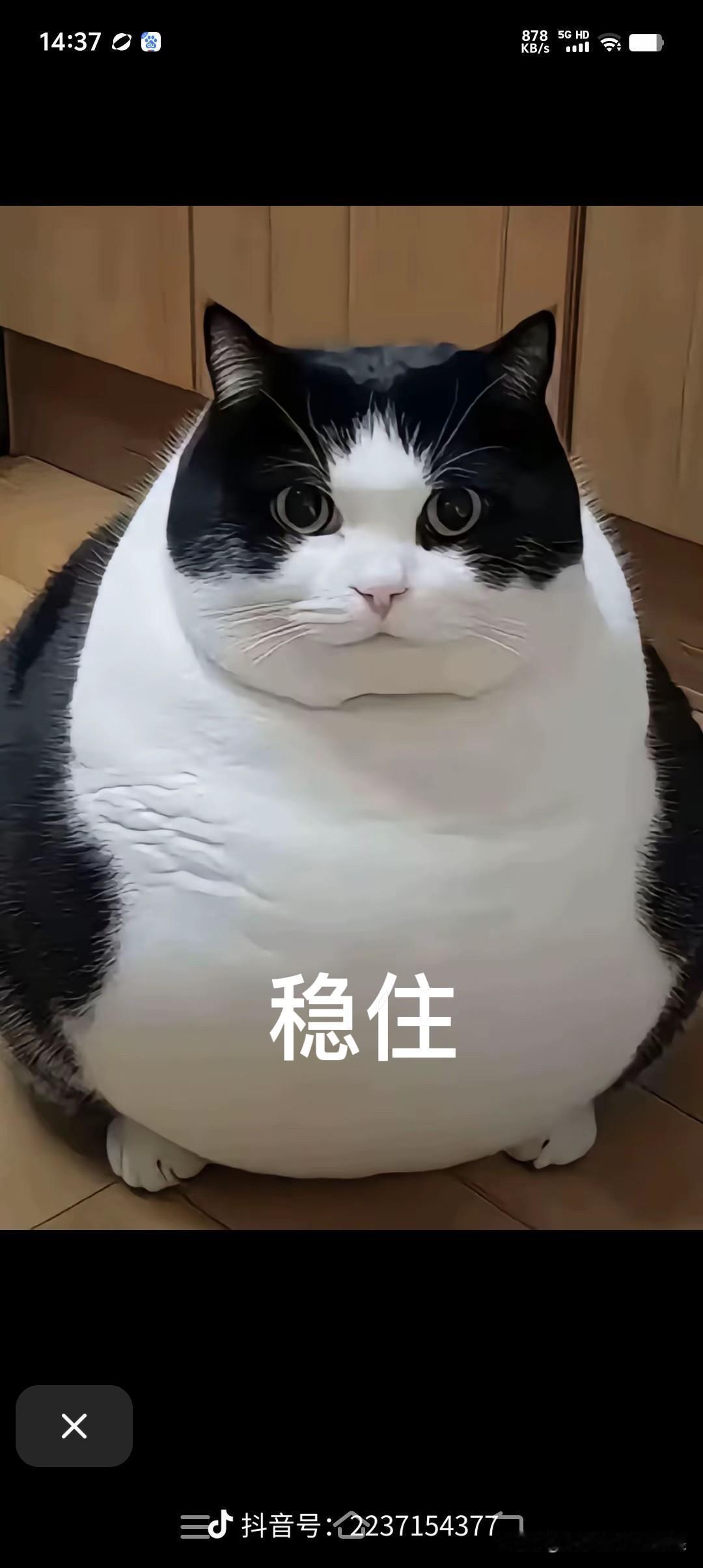 下午1:41，午后突发分时跳水，怎么看？给市场降温，又有一新动作？

现在是下午