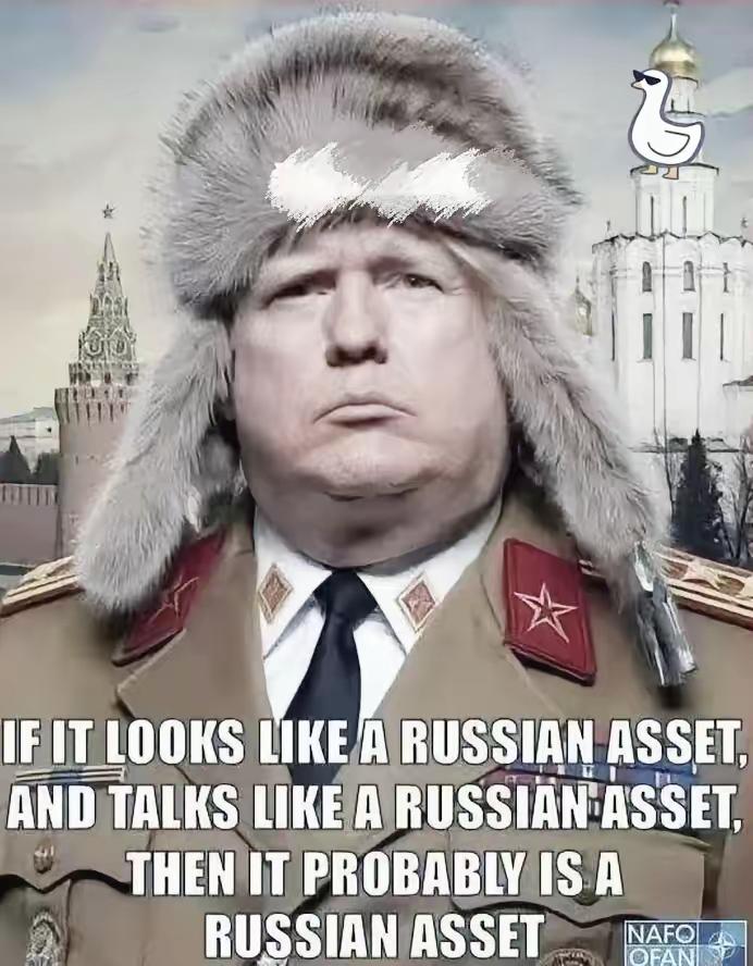 看看大鹅的这个粉丝，长得像不像特朗普？这身衣服让特朗普看着特别威武。
美苏争霸这