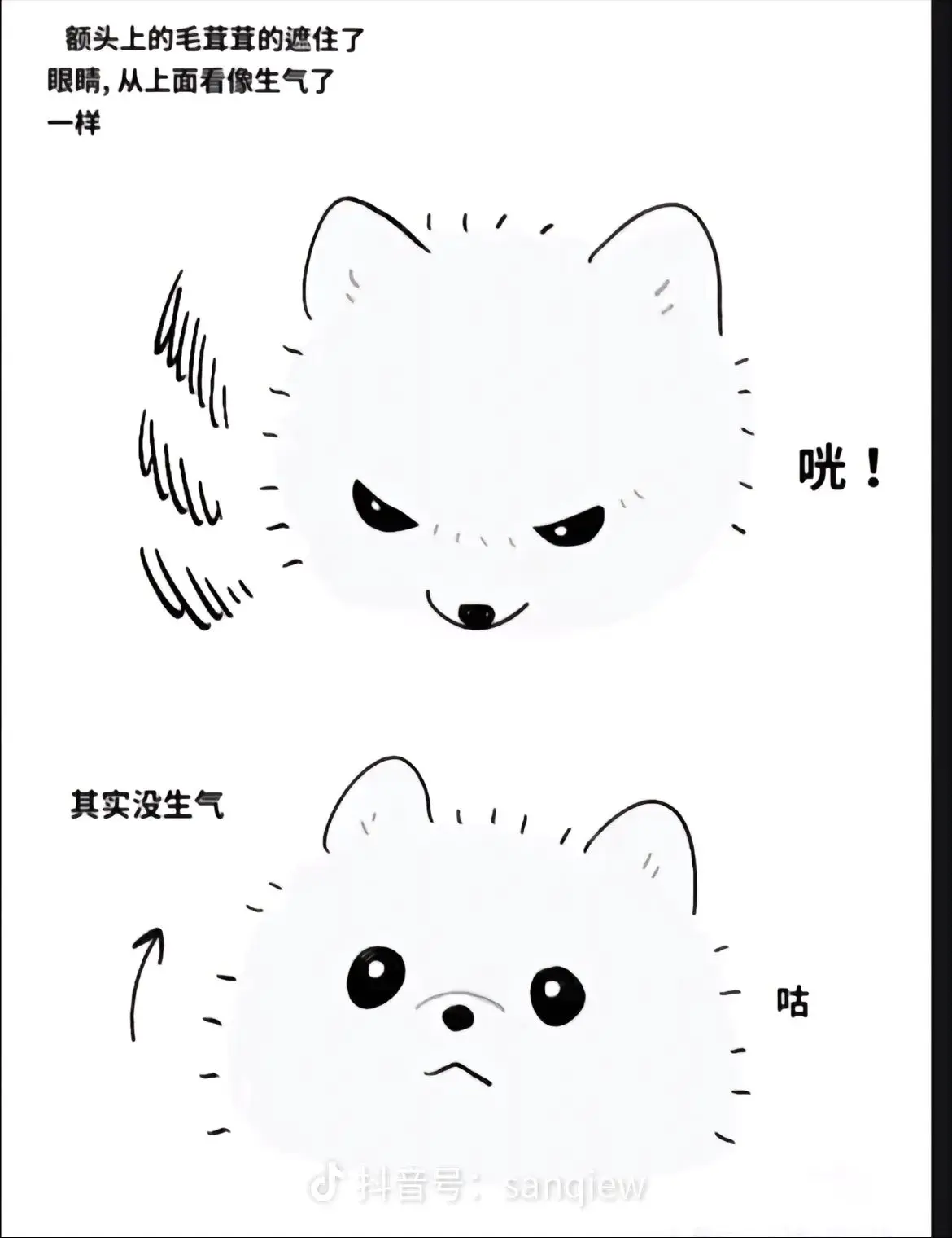 tzz视角。