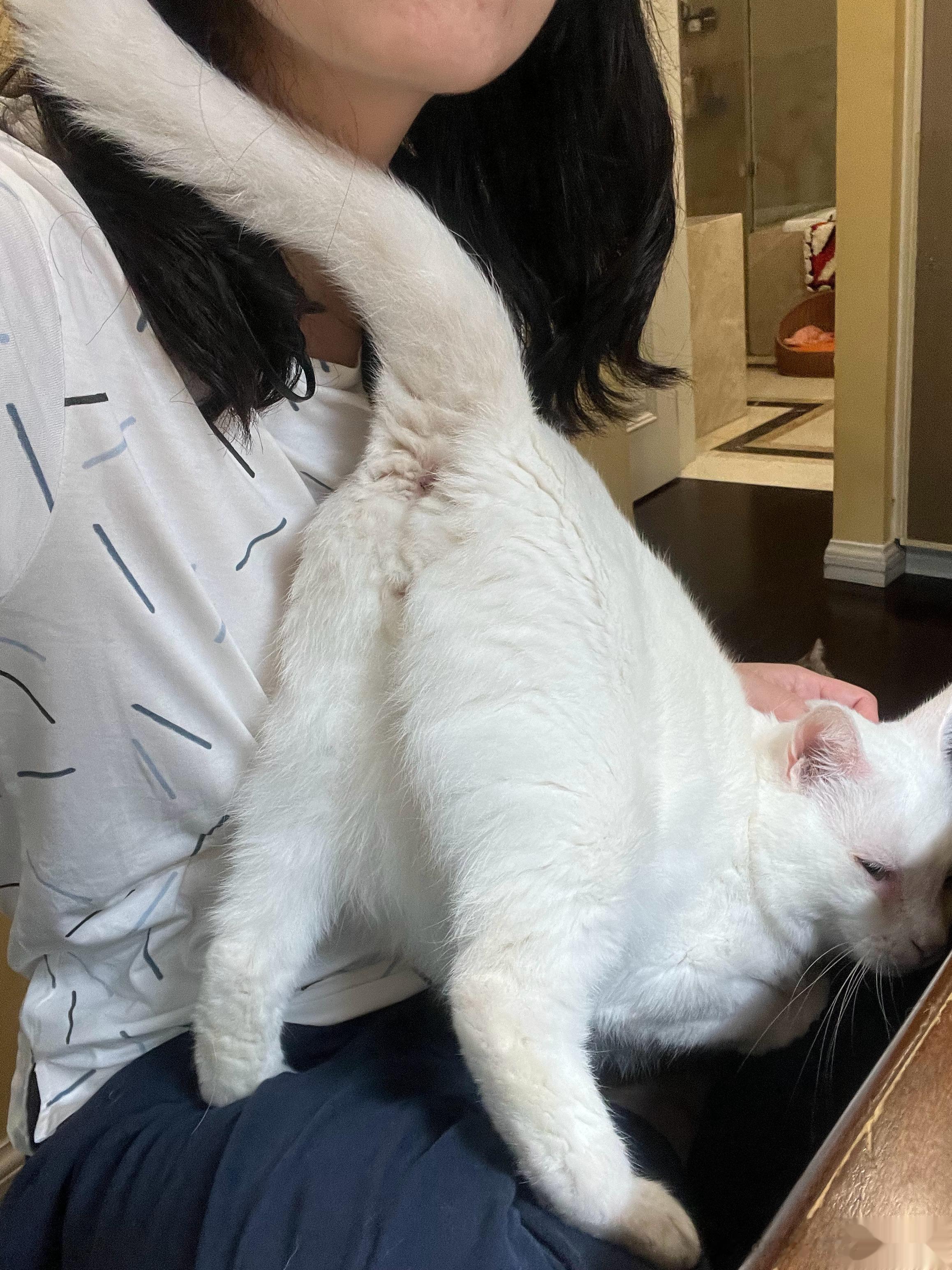 看我们家的赖皮儿子… ​​​