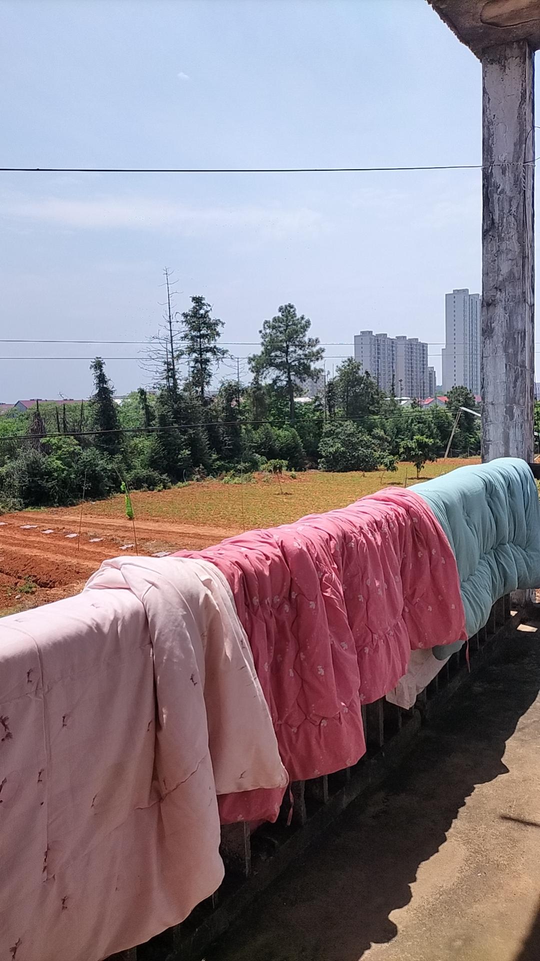 只要一出太阳，我的租房就是一个世外桃源的好地方，我站二楼晒被子，可以看到外面美丽