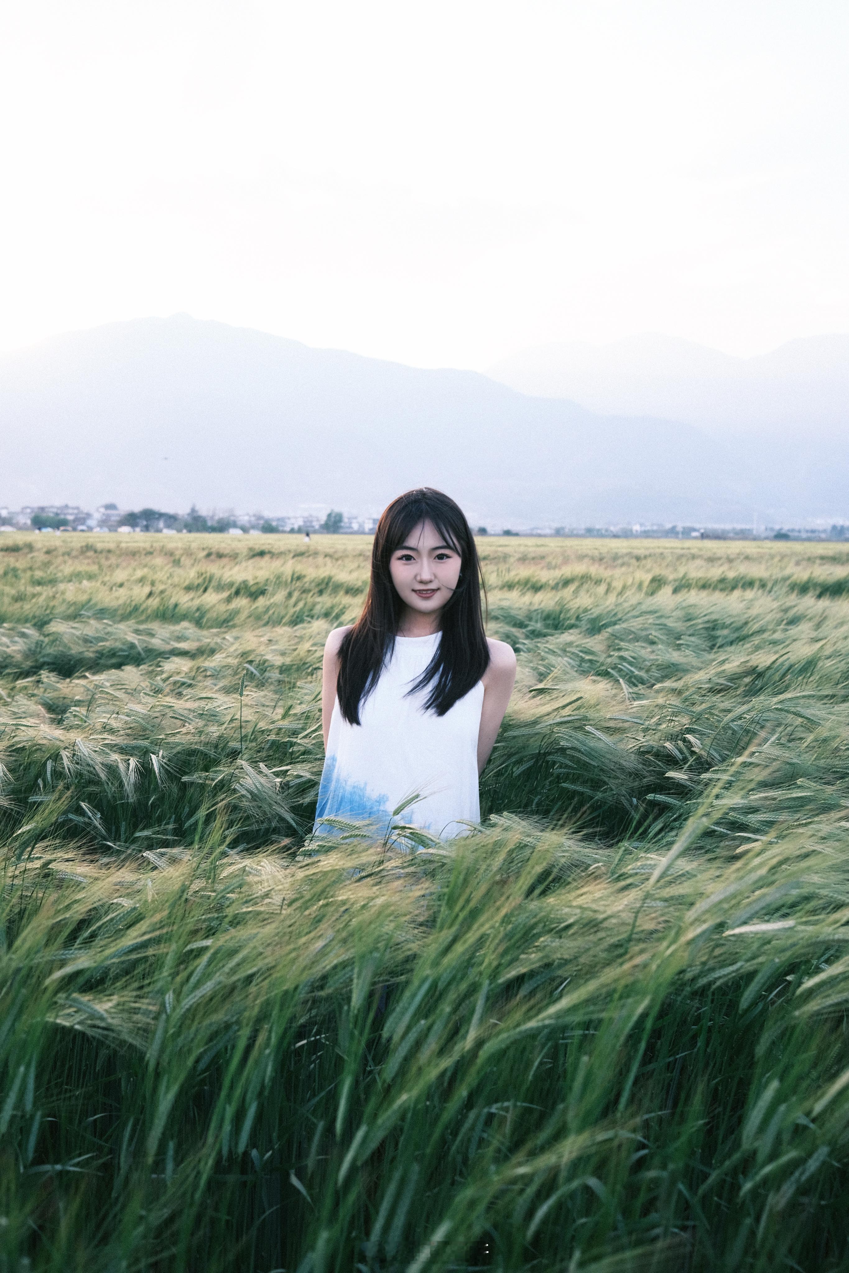 蓝天白云 扎染麦田[兔子]  ​​​