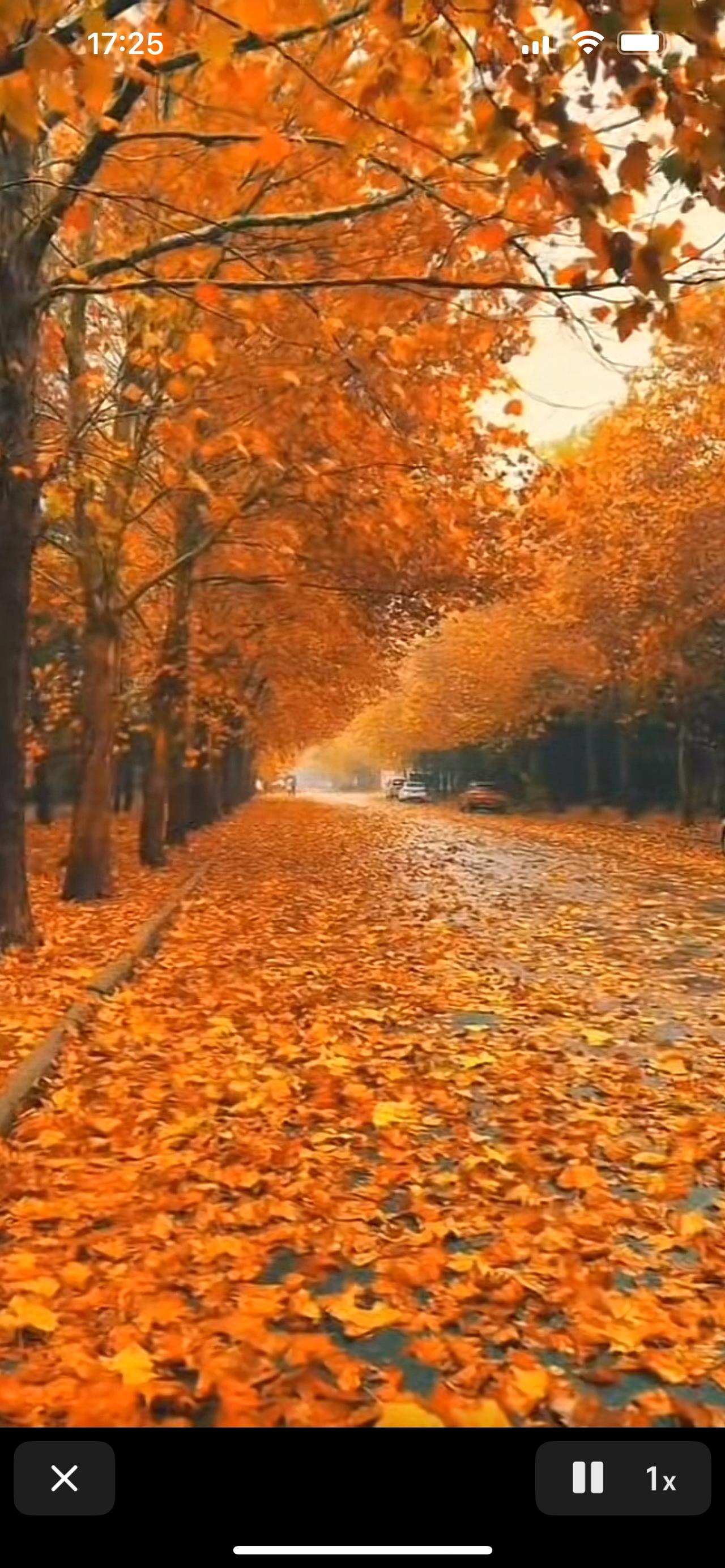 泡泡玛特直播间忘记了闭麦，
两个主播两句话让股市损失170亿。
直播间打算卖挂绳