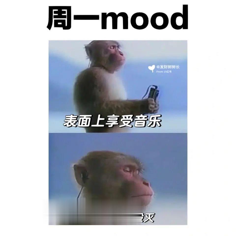 关于周一的梗图，每个图感觉都在说我： ​​​