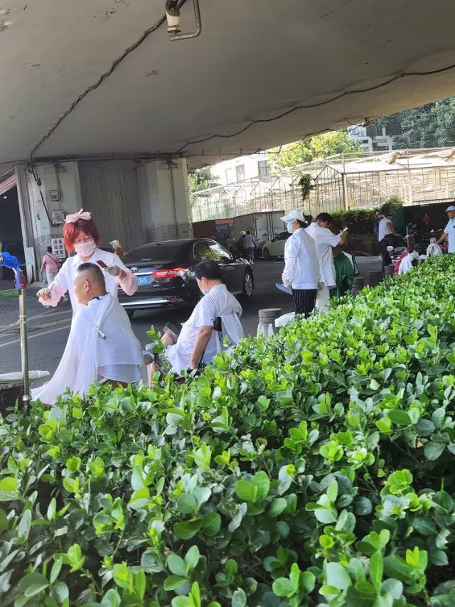 你怎么看待公园边上的理发服务人，不但态度好价格又便宜呢？

公园边上及街头的个人