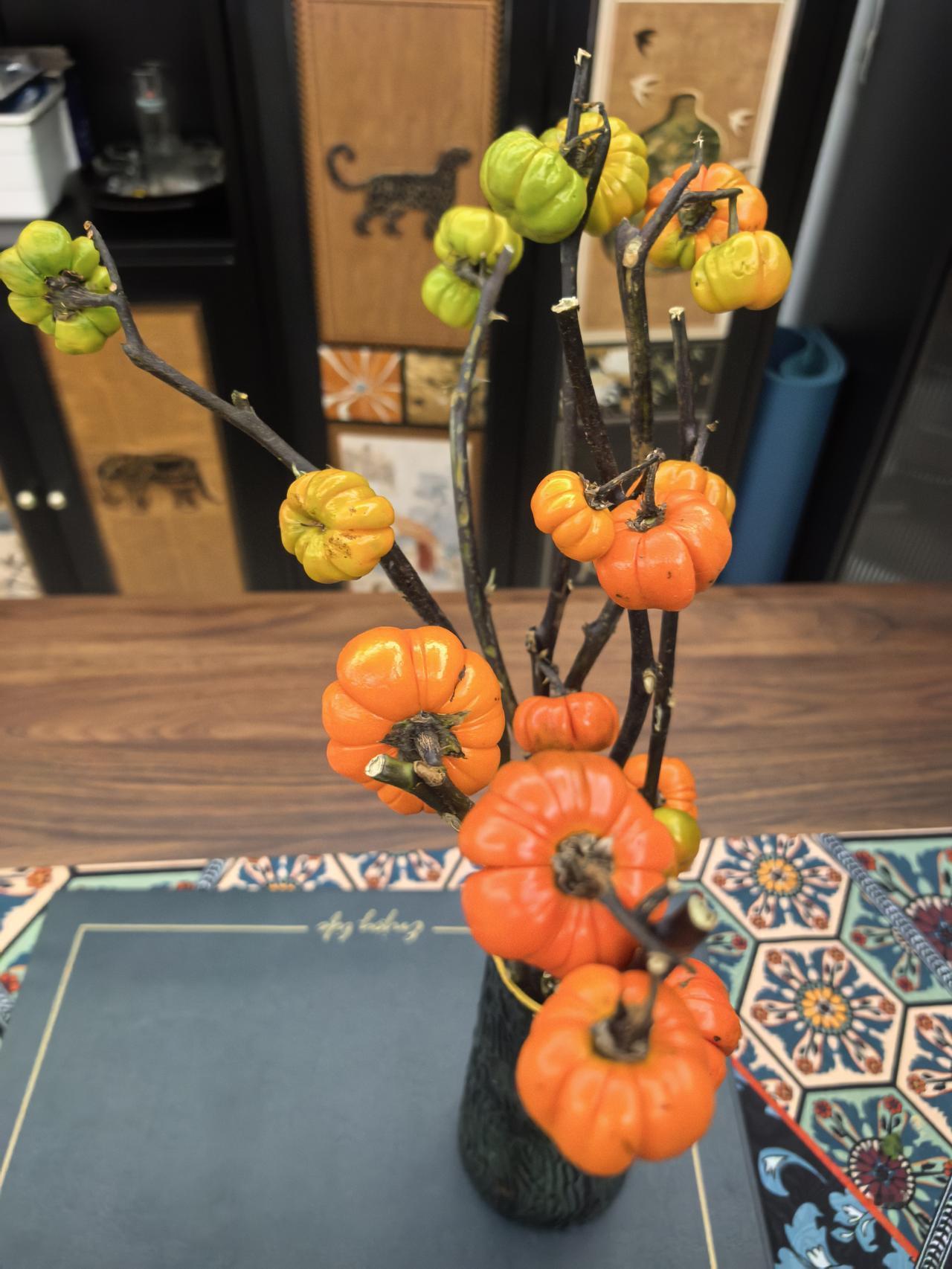 上年纪的人可能不认识这两种东西，一说名称都很熟悉。图一是观赏南瓜；图二是七彩辣椒