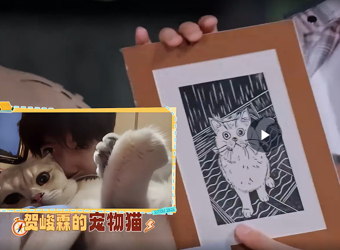 贺贺的jio和贺贺的猫 