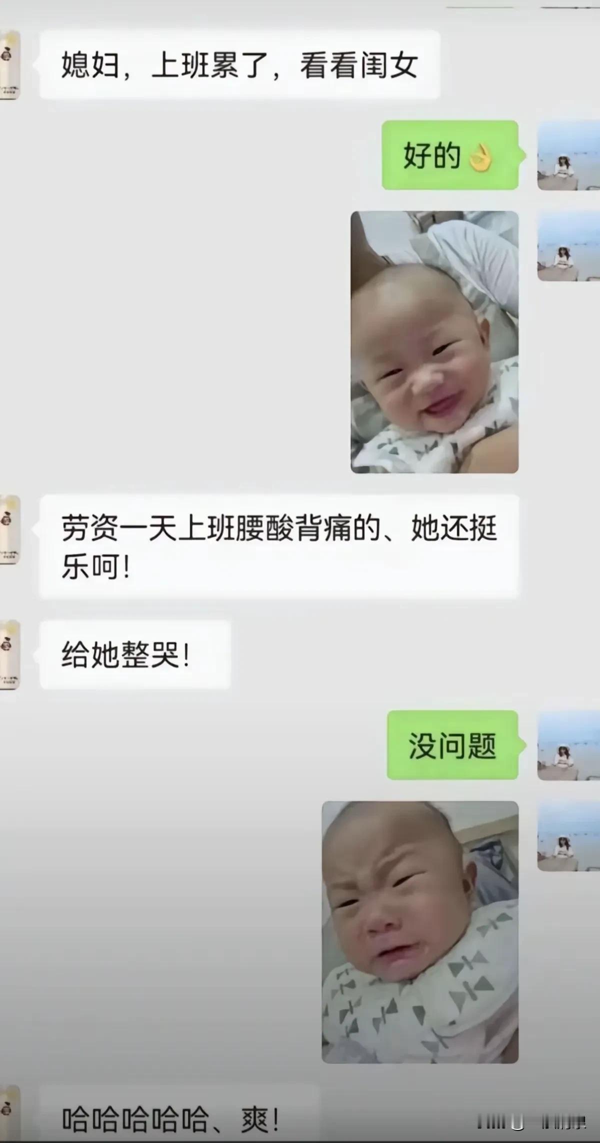 高级减压小动物，逗你一乐