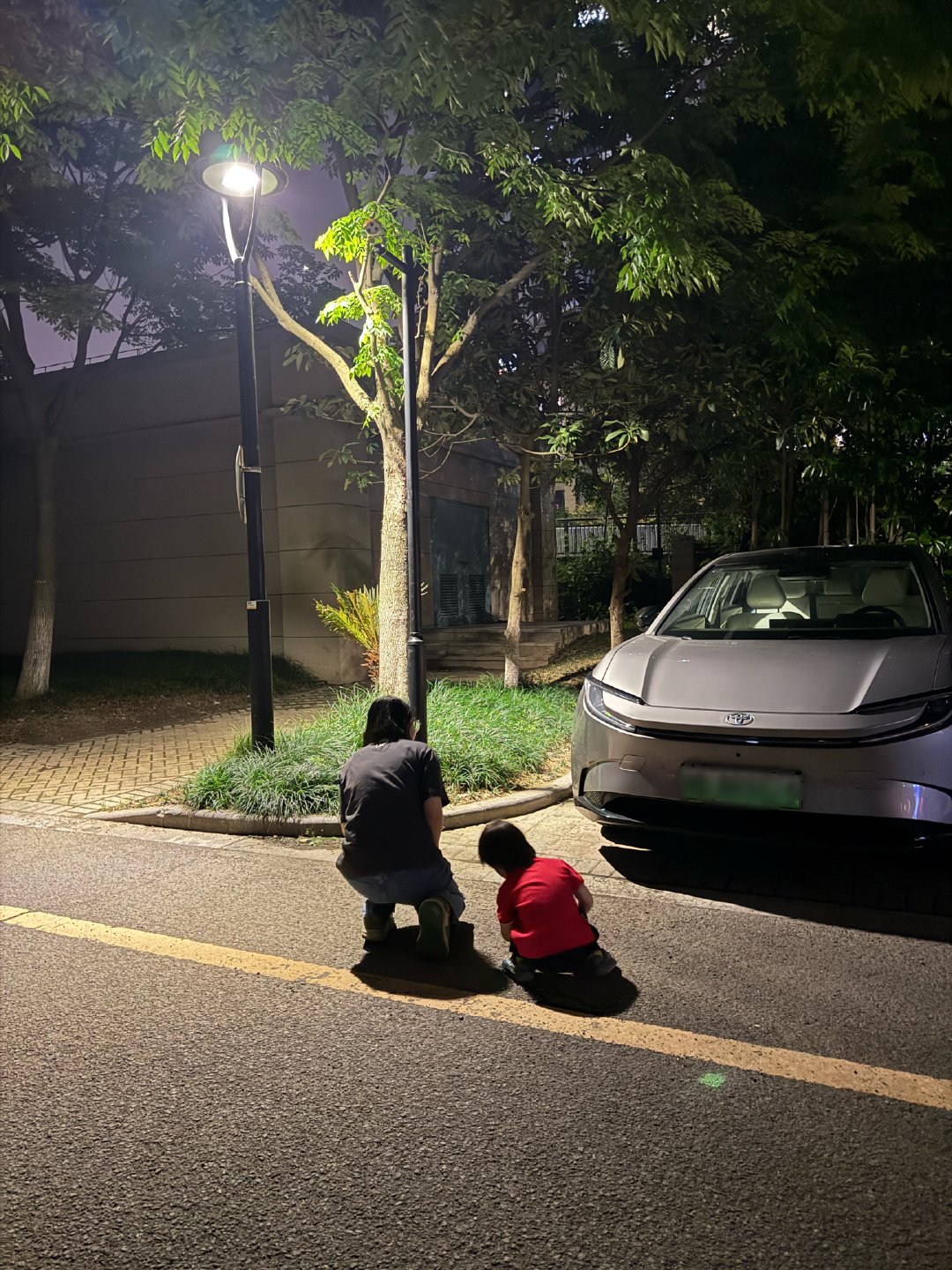 一个寻常的夜晚，我的L姐和菜包包一起在楼下投喂流浪猫猫我站在不远的地方，看她们的