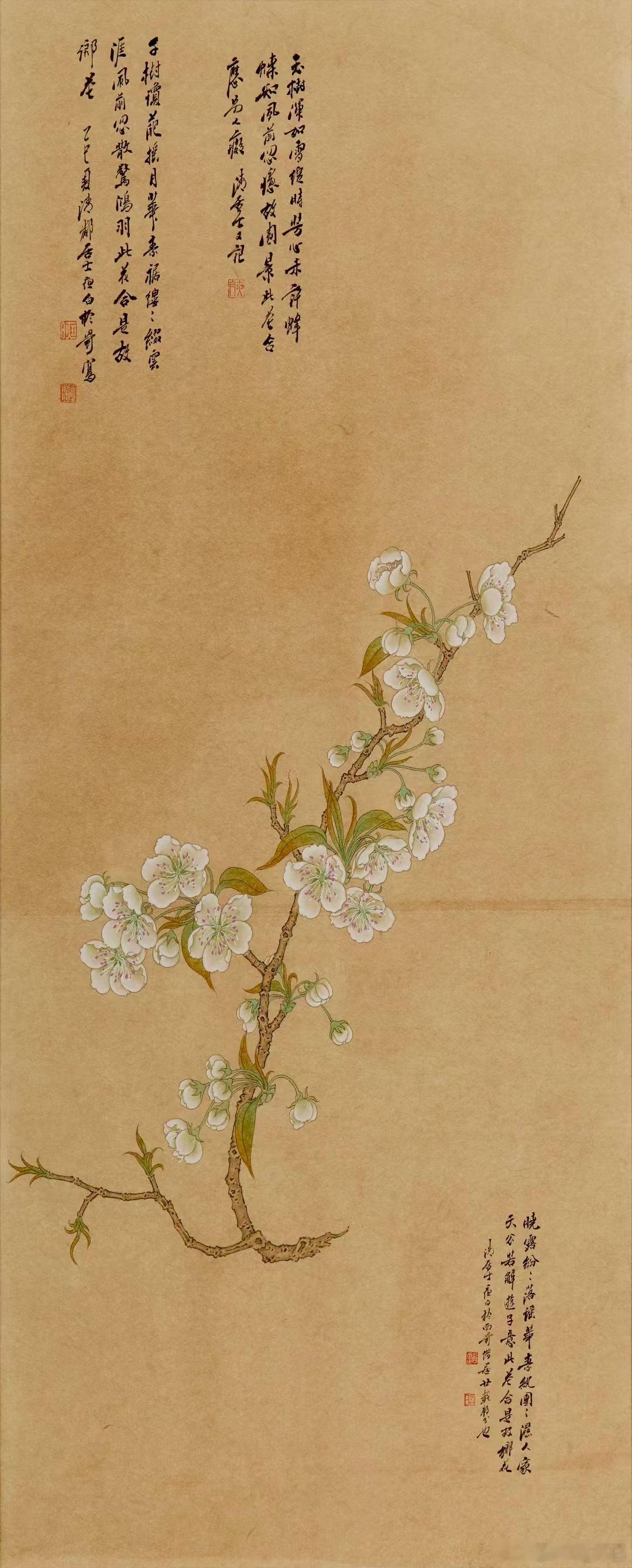 此花合是故乡花； 