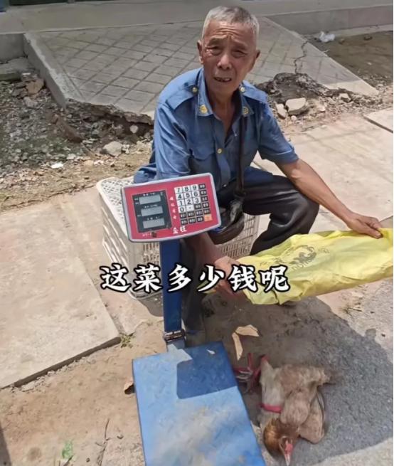 看哭了！山东，儿子10多年前车祸去世，儿媳跟着人跑了！78岁大爷独自抚养孙子长大
