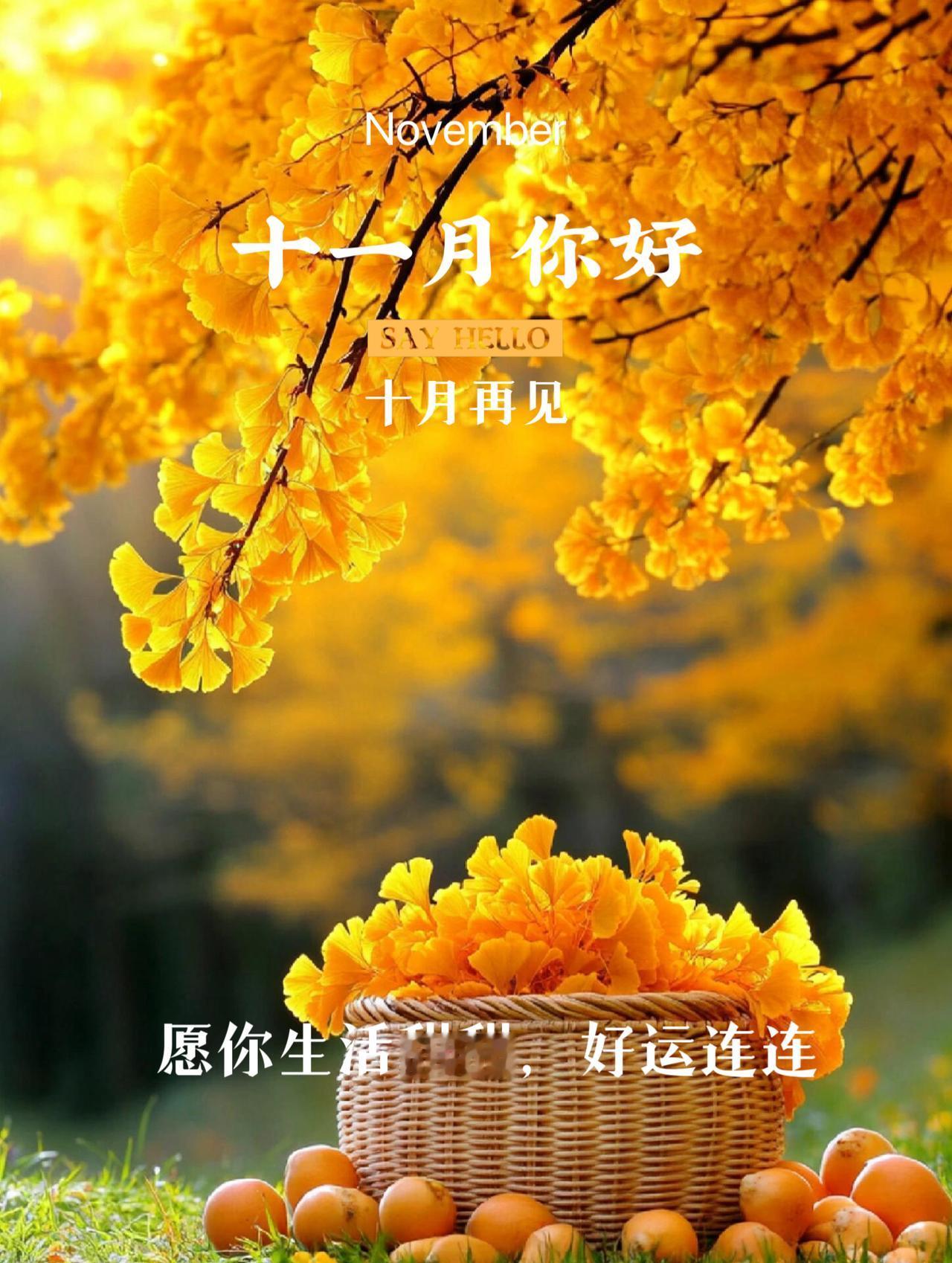 我这儿没有真实的季节感受，但听好多人说，现在不少地方的秋天确实短得像“打了个照面