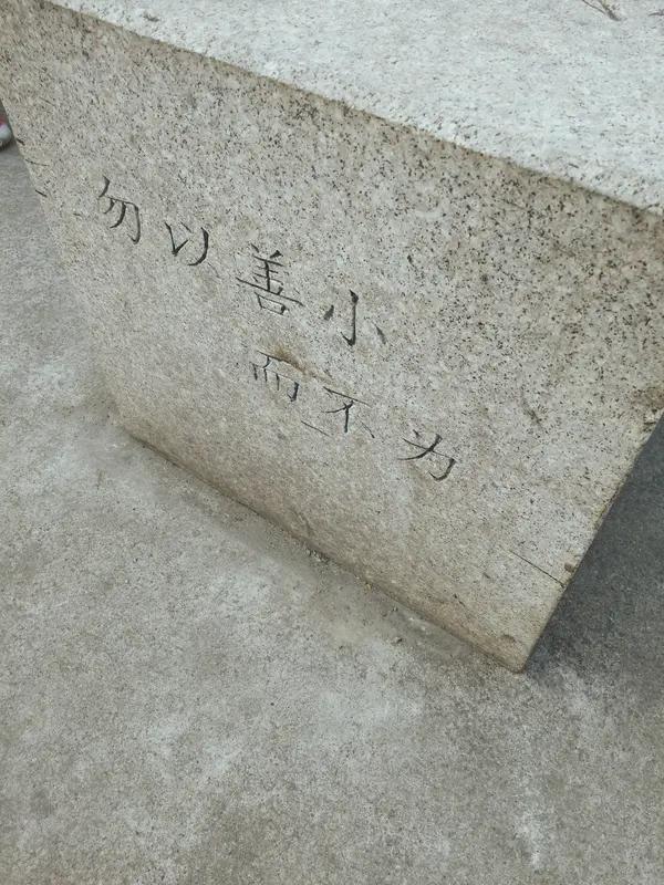 从该小伙的行为与举动的全过程，是真正体现了对此事本身而言的“善小而仍为之！”的理