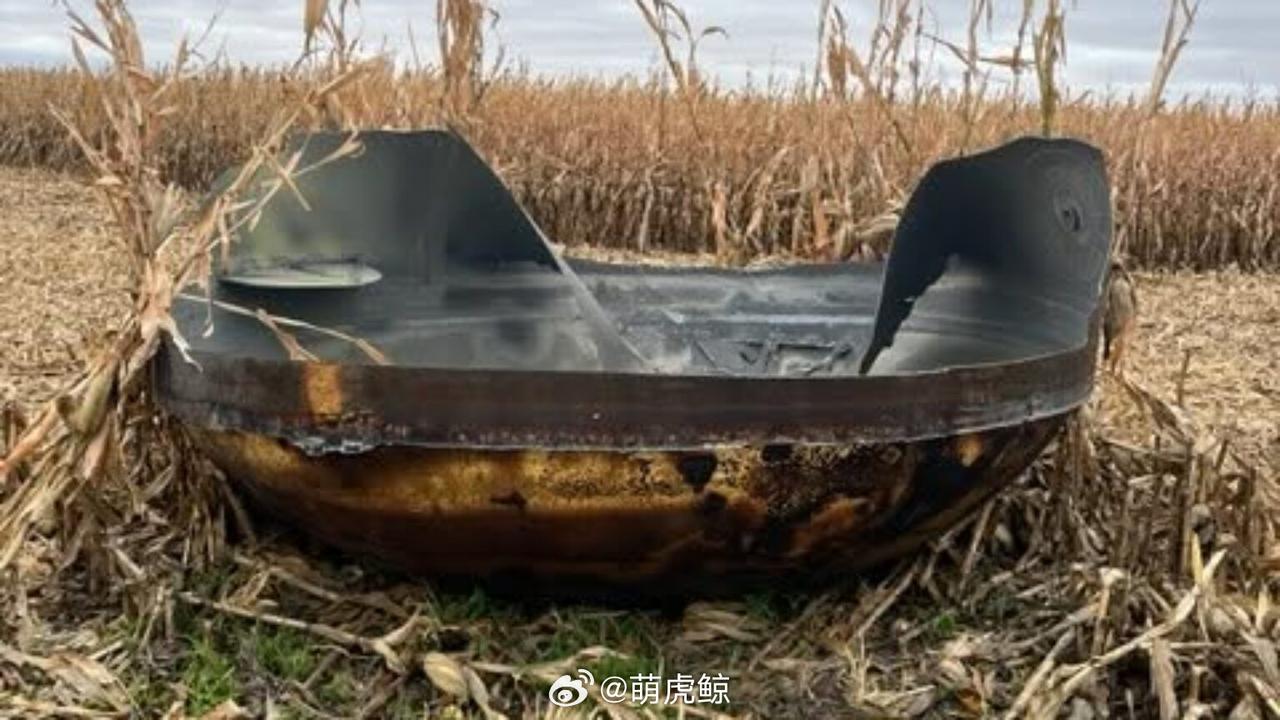 天上掉下个林妹妹……哦不，是林锅盖[惊呆]……

这也不对，这真是话都不会说了[