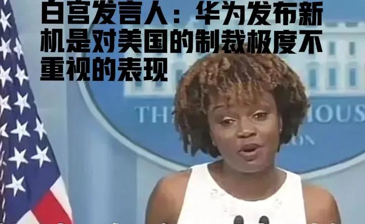 恼羞成怒！白宫批评华为发布新机。

近日，美国白宫发言人皮埃尔代表美国批评华为称