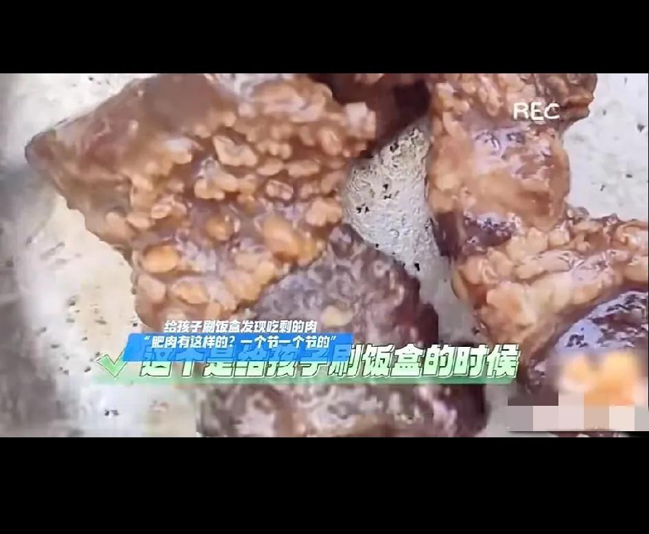 女子给孩子刷饭盒，发现孩子在学校吃剩的肉，居然是一节一节的！大家想必生物课都学过