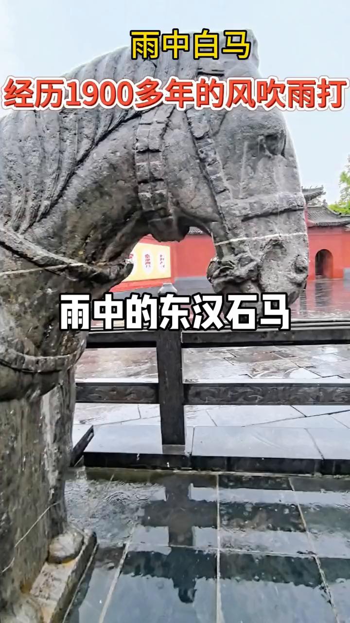 雨中自马。
经历1900多年的风吹雨打，雨中的东汉石马。