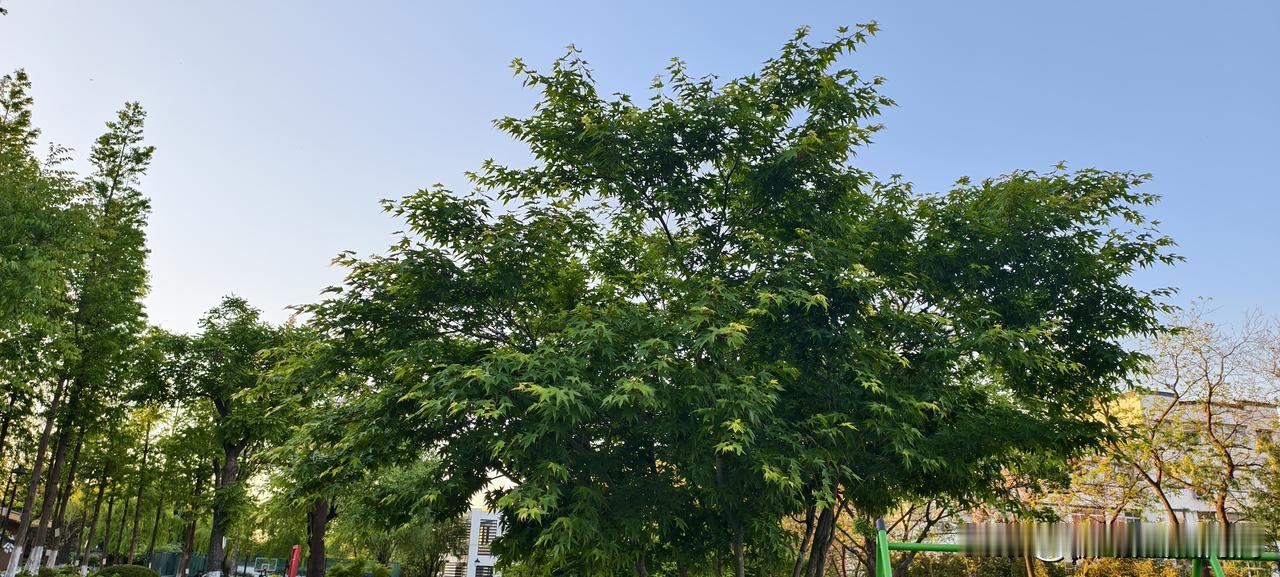 晒图笔记大赛