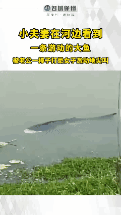 最原始的捕猎方式[赞]