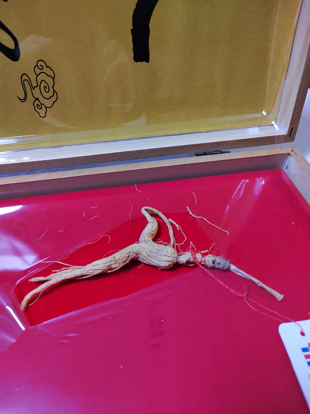 手术三个月了，依然病殃殃，气喘吁吁。爬个楼梯也是上气不接下气。

女同学看不惯我
