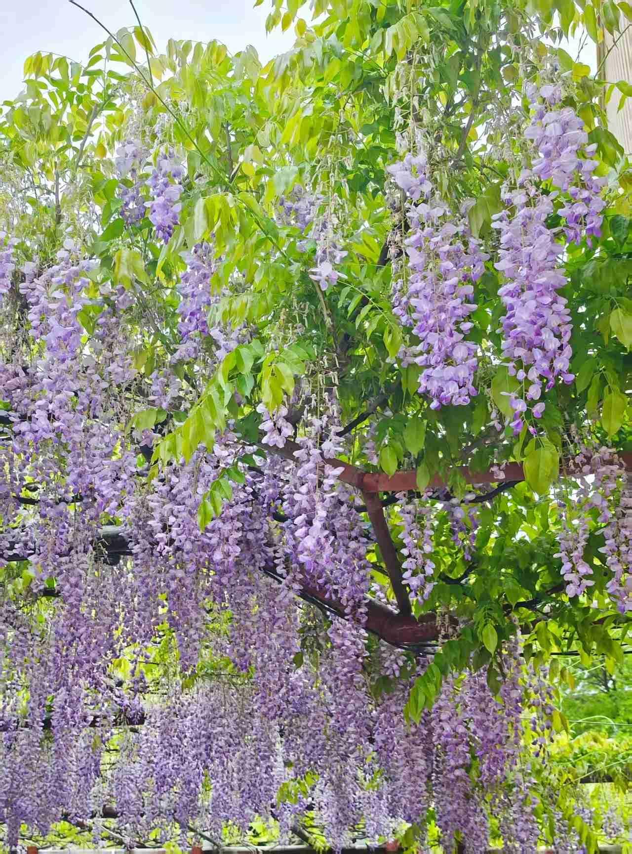 我的今日状态：😎自信酷炫
我这里的天气：🌈雨过天晴