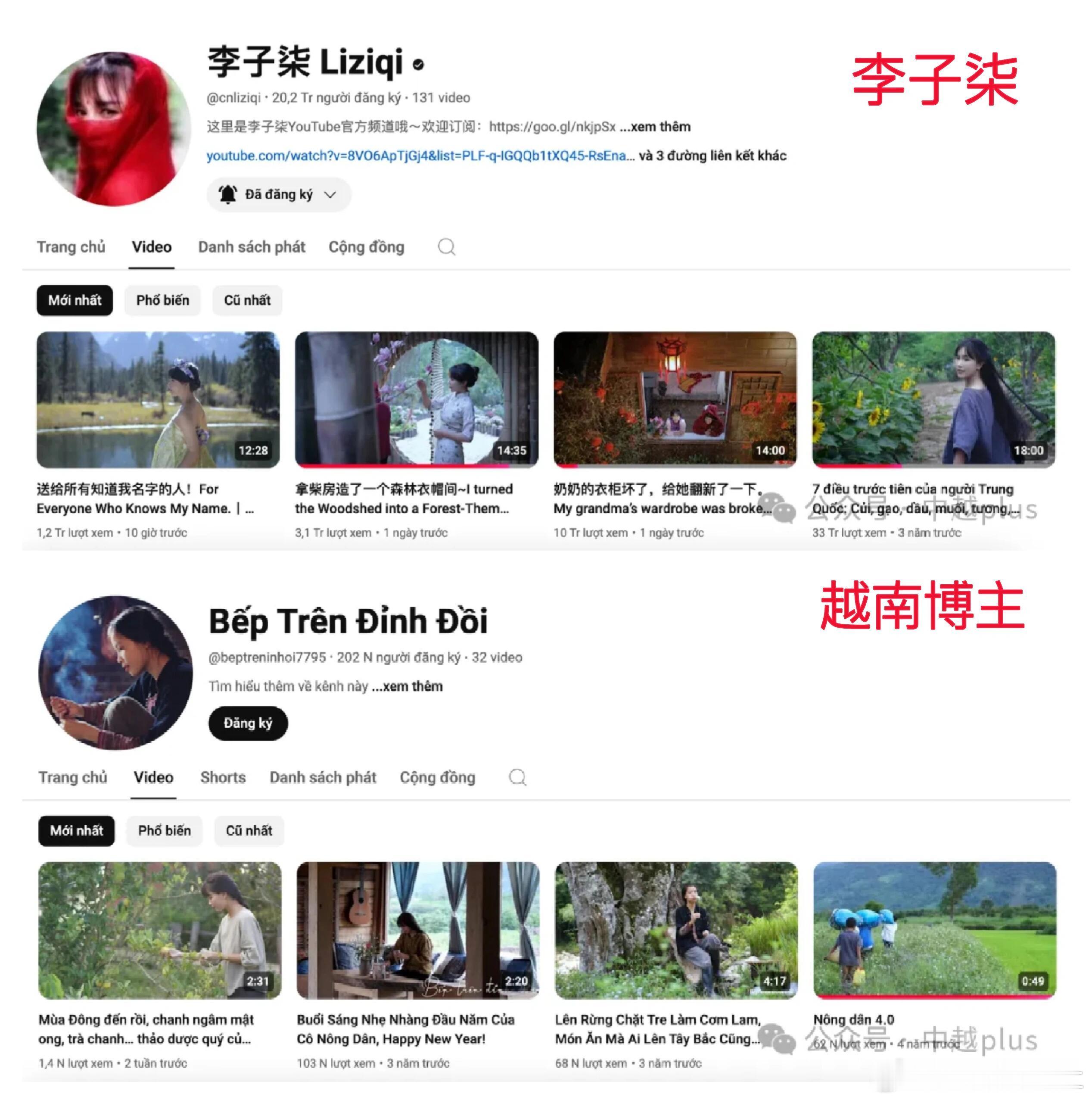 越南博主抄袭李子柒，居然到了一比一复刻的地步！衣服、发型是李子柒同款，视频内容就