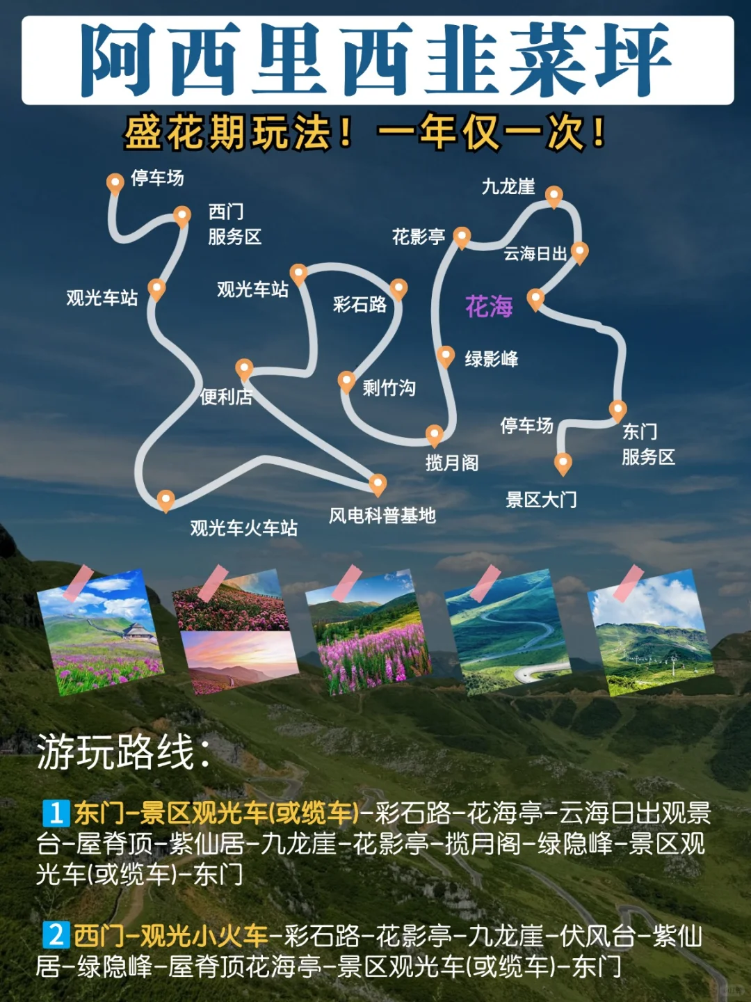 刚回！阿西里西韭菜坪花已开！太值得一去！