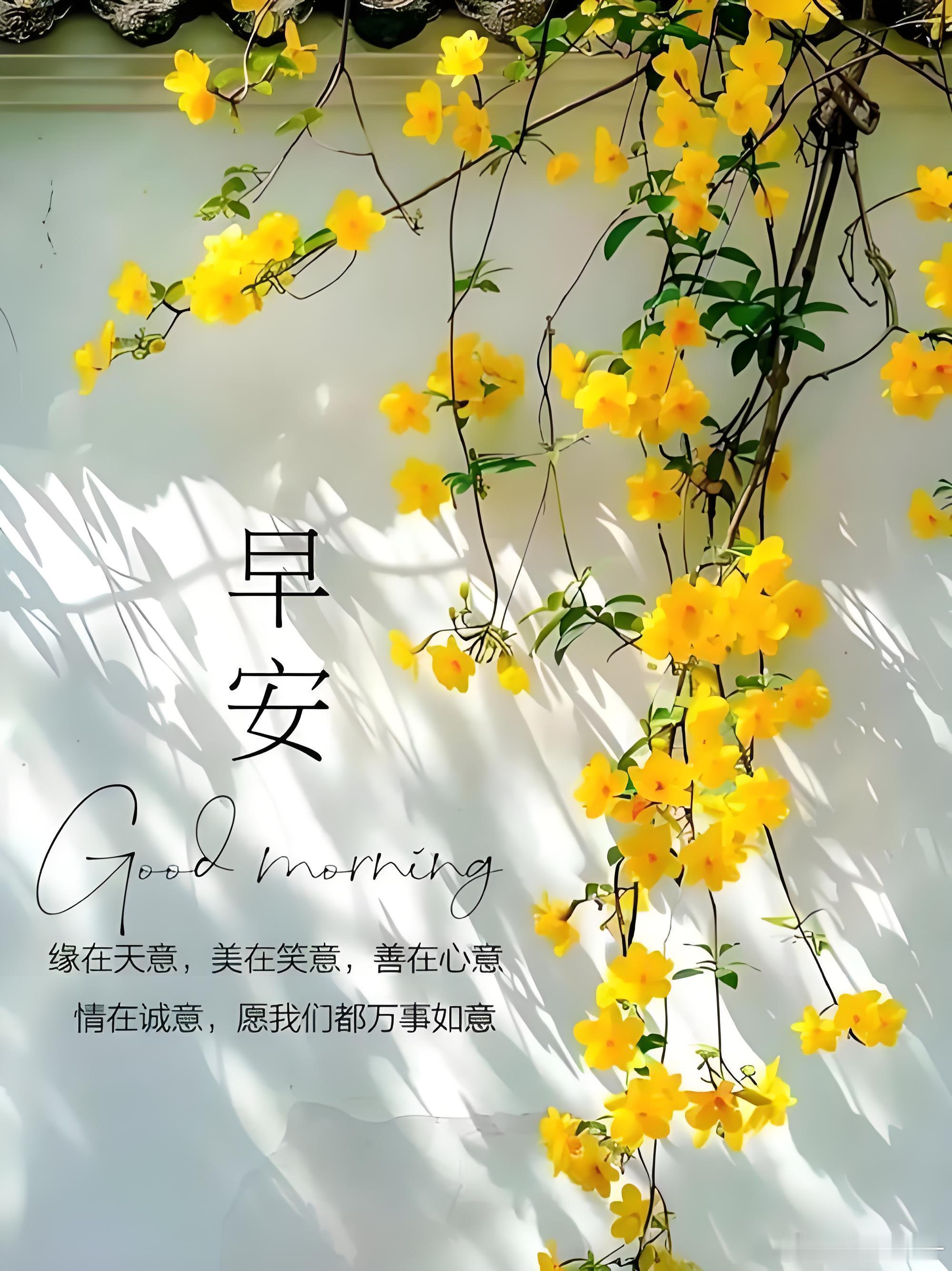 早安早安，世界！今天，也要用心生活，用力微笑，不负这大好晨光。 
