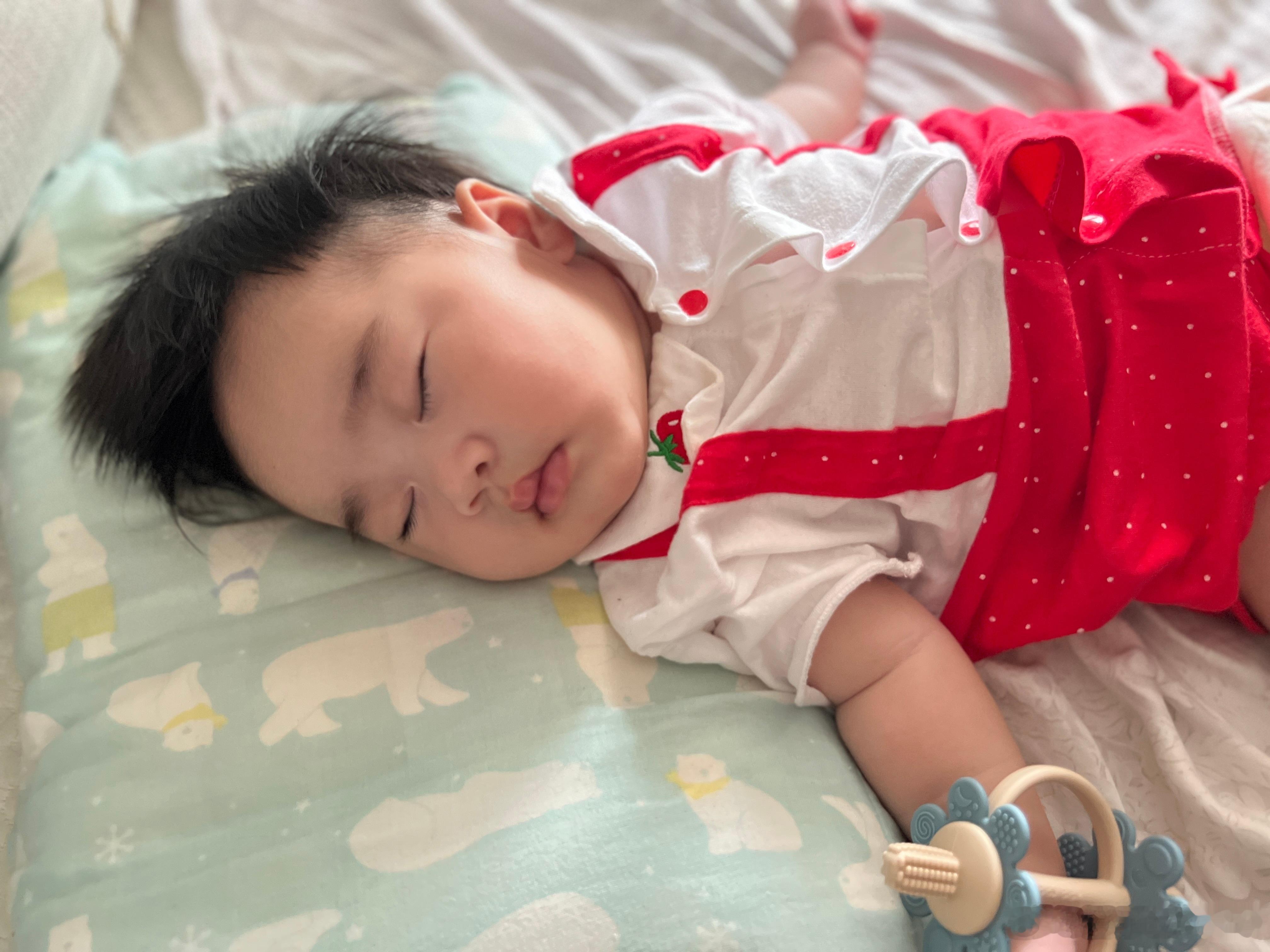 端午假期前给小水晶剪了头发，不知道是发型原因还是真的长肉了，小水晶肉眼可见的肉嘟
