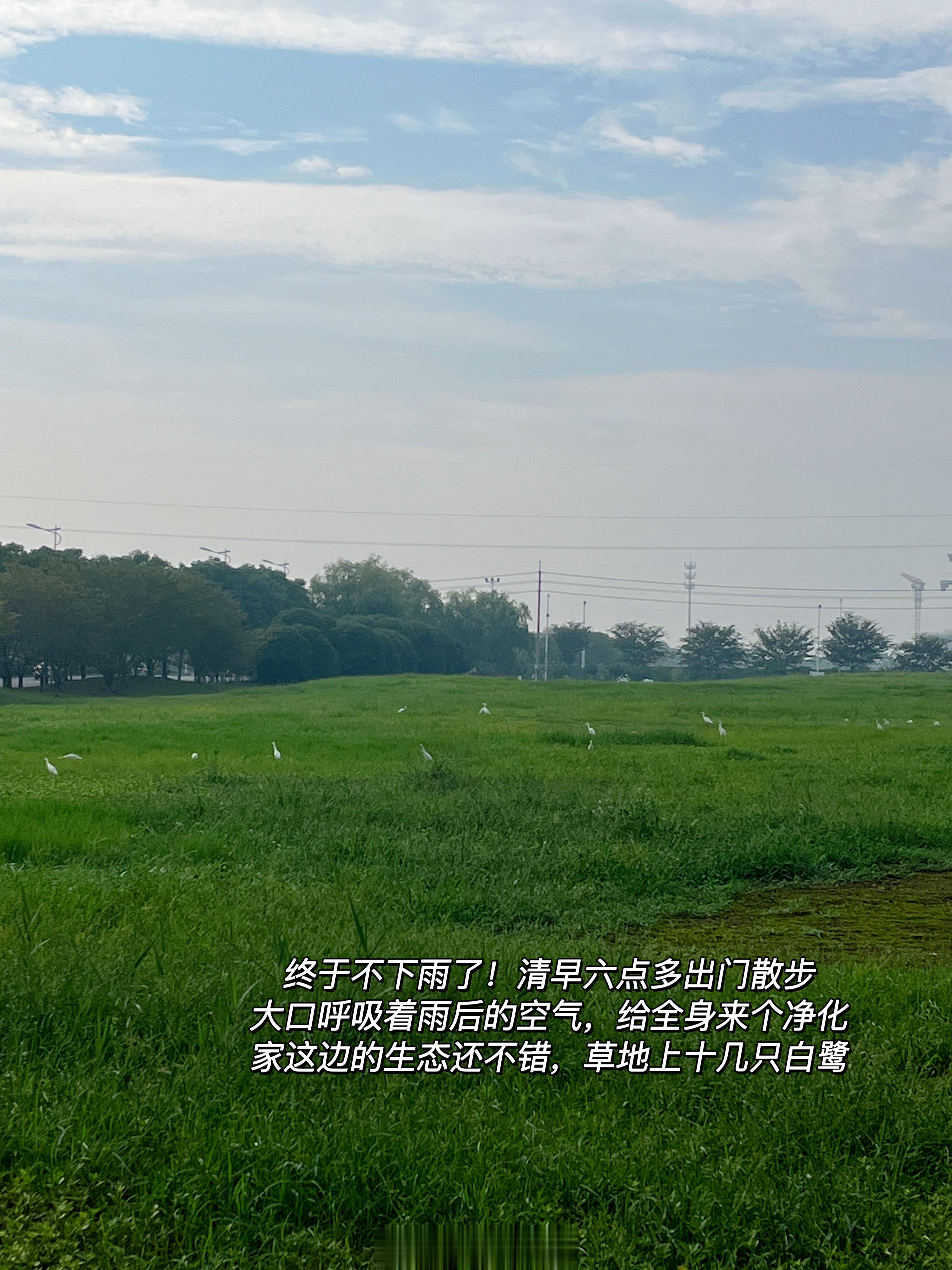 #日常# 天凉了真好，早晚都可以去室外走一走，吹着不冷不热的风，呼吸着秋天空气独