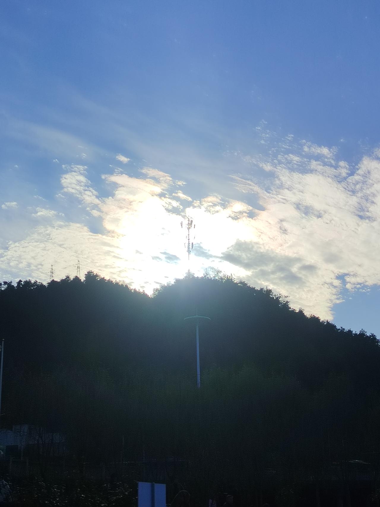 分享一张最近随手拍的照片
