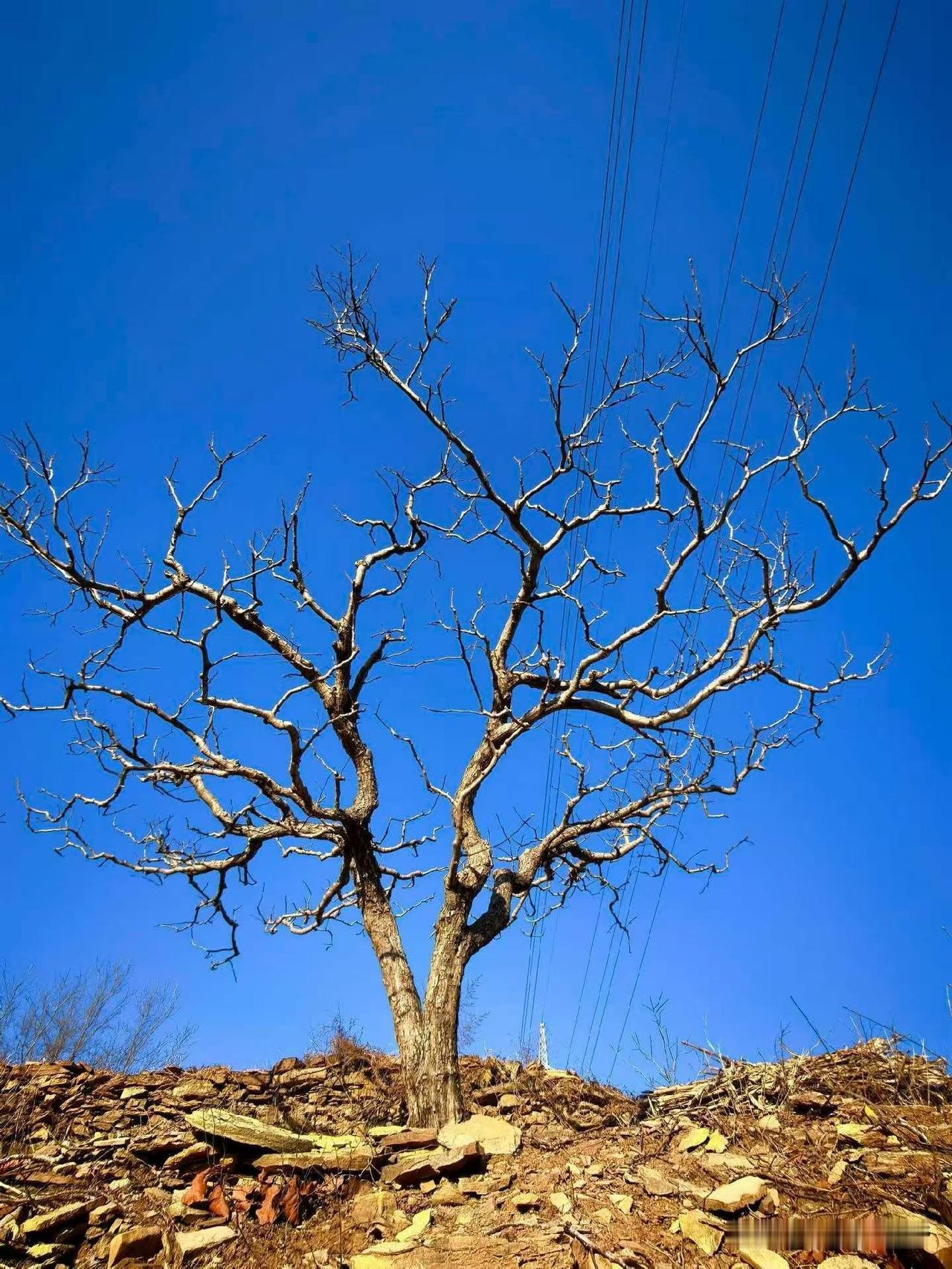 能否分享一下你拍摄的天空 绝美随手拍天空 相册里最美天空