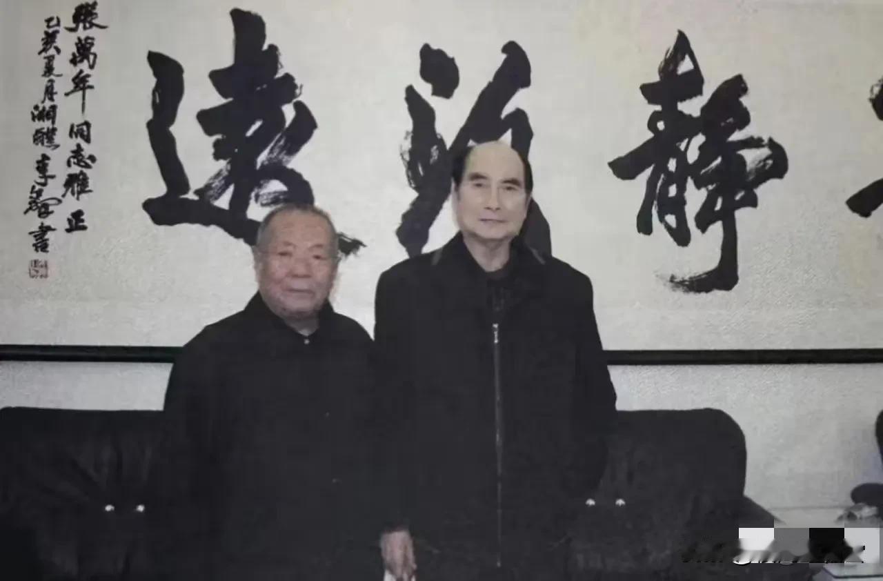 1991年3月，那天下大雪，济南军区司令员张万年却突然要去菏泽单县，寻找他当年的