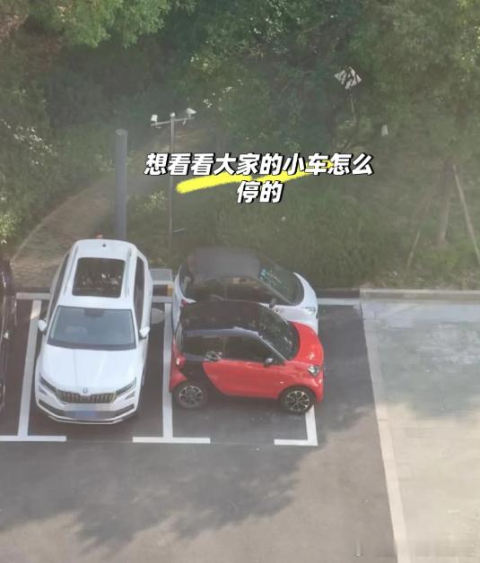 车小还是有优势的，只是前边要是停一辆车，你俩怕是再也出不来了[允悲][允悲][允