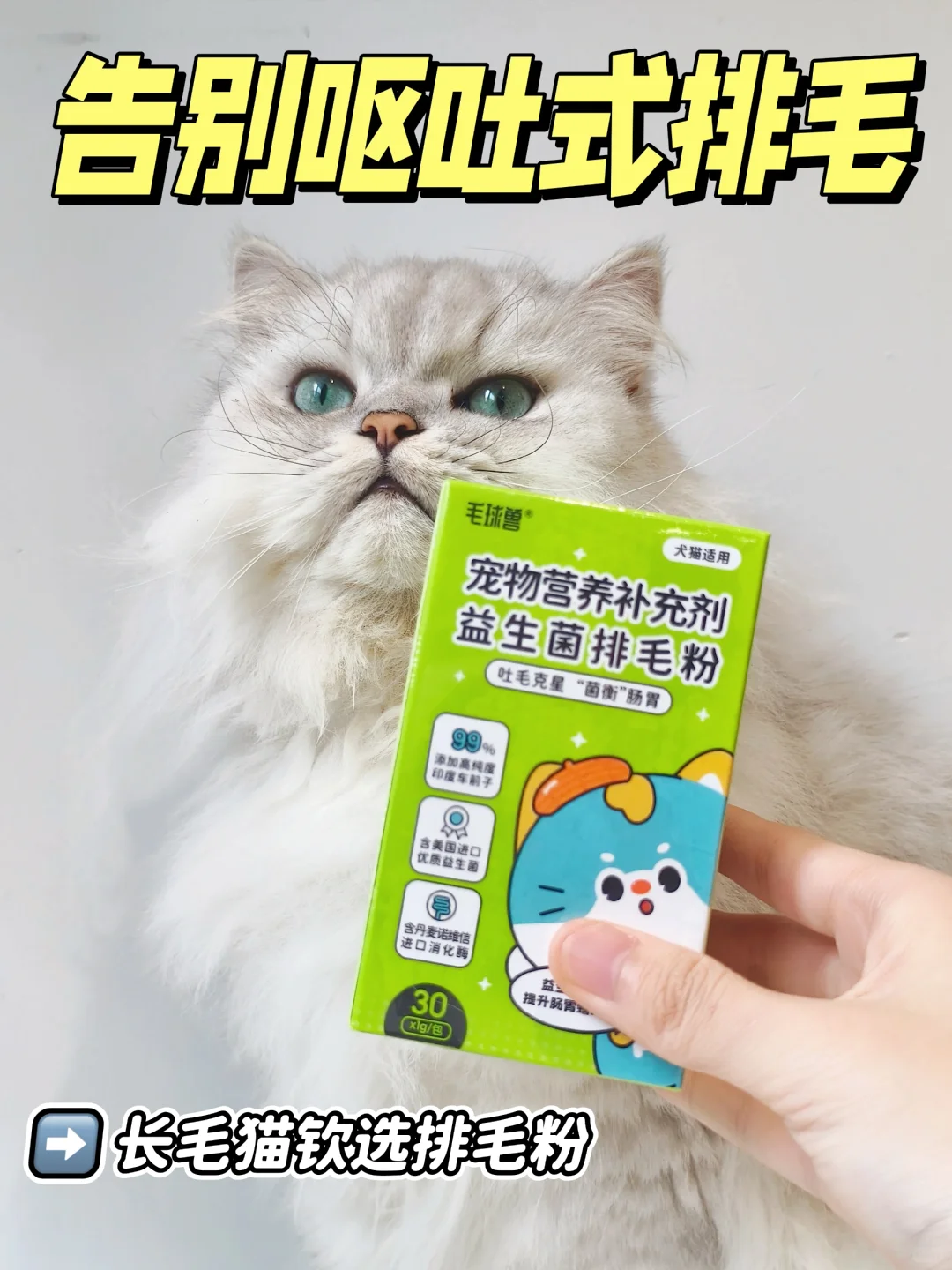 🦴˖º·崽崽的排毛大作战💥