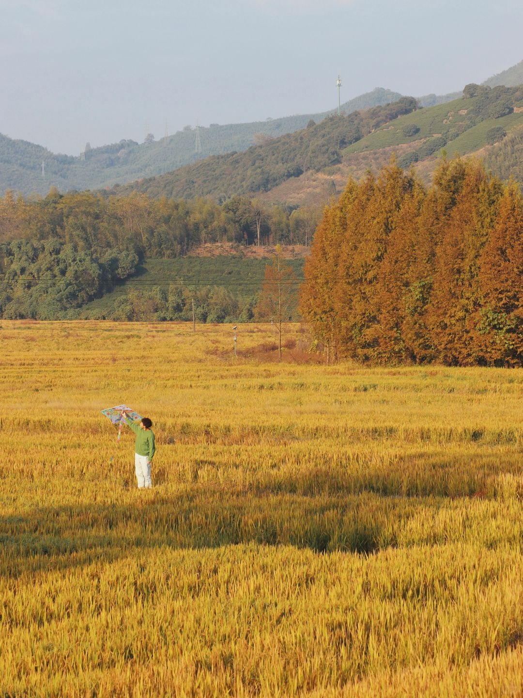 乌龙山脚下，我住进了梵高油画里的麦田🌾