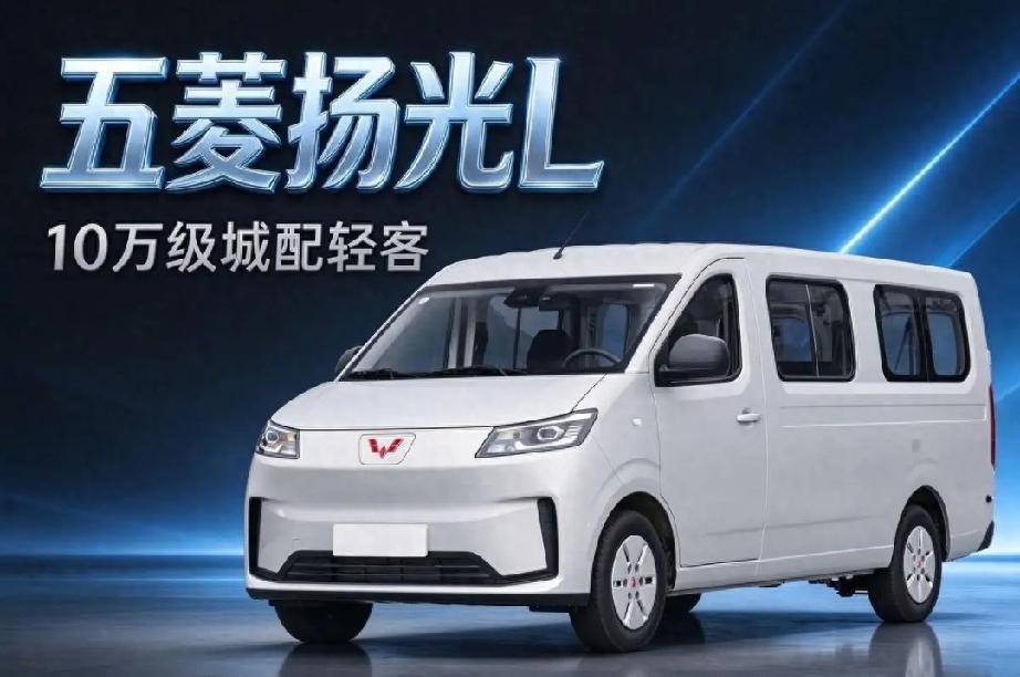 让美国无奈的三大中午公司
第一，华为
第二，比亚迪
第三，大疆无人机
看五菱扬光