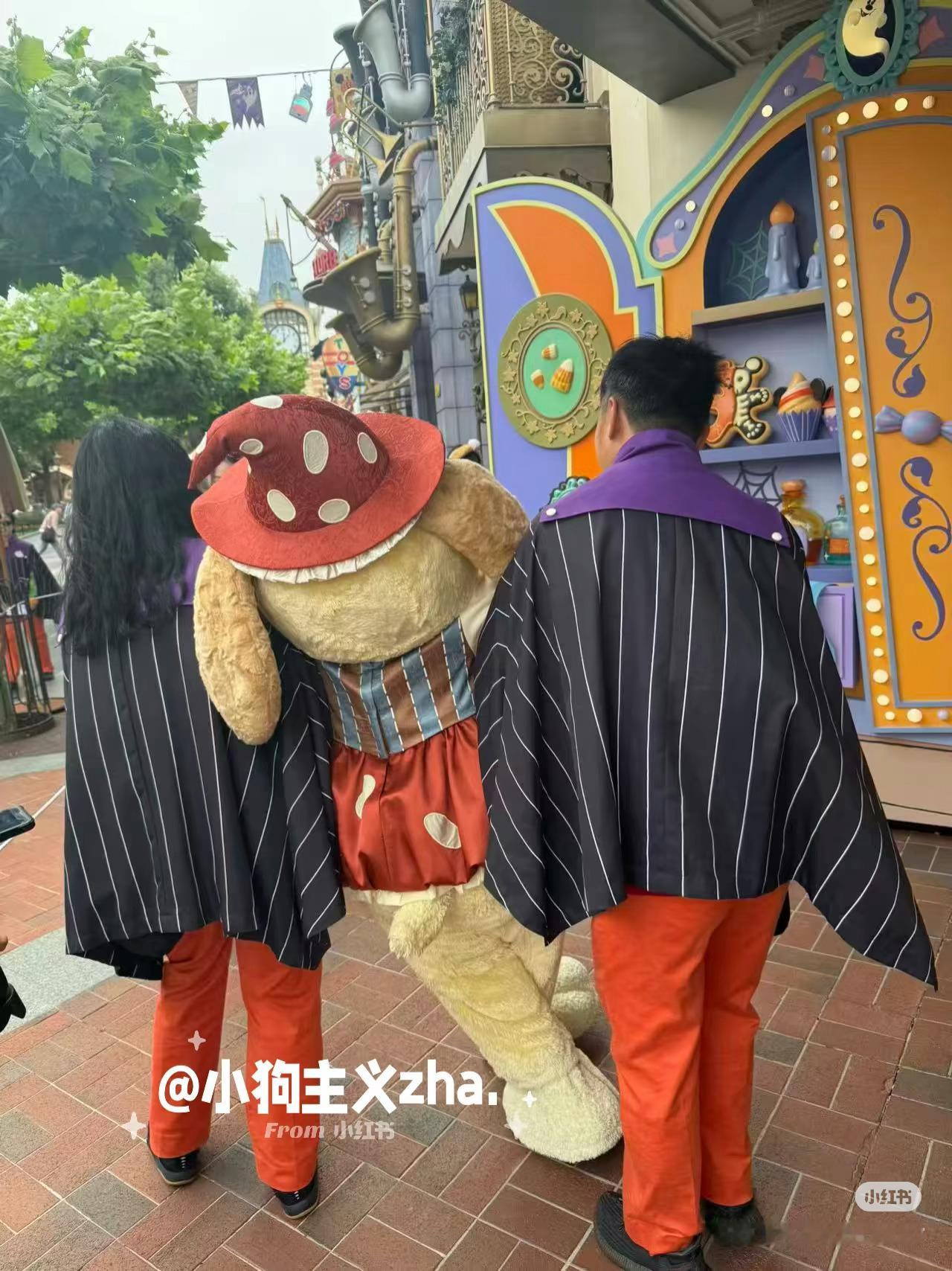 我上班就是这个要死不活的鬼样子[收到] ​​​